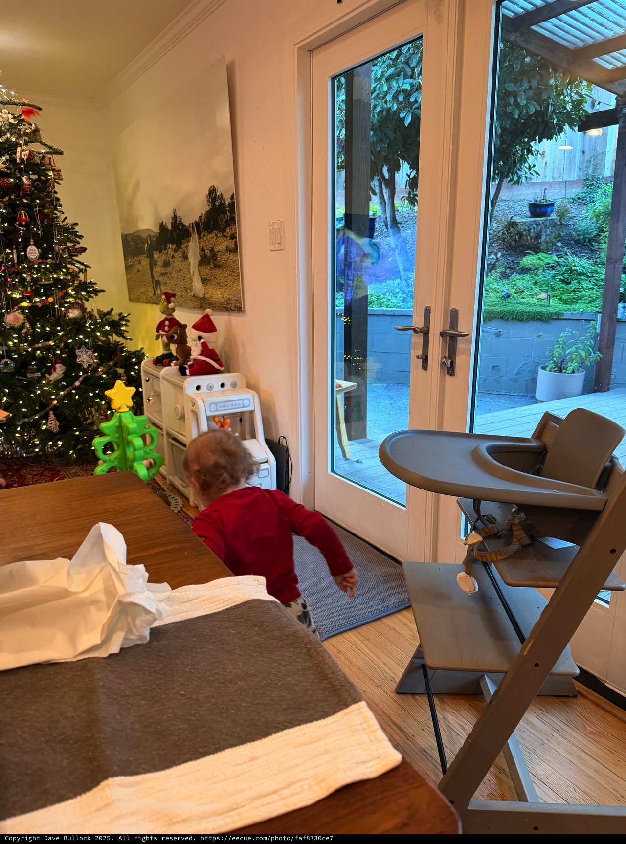 Toddler Watching Outside Through Glass Doors on Christmas