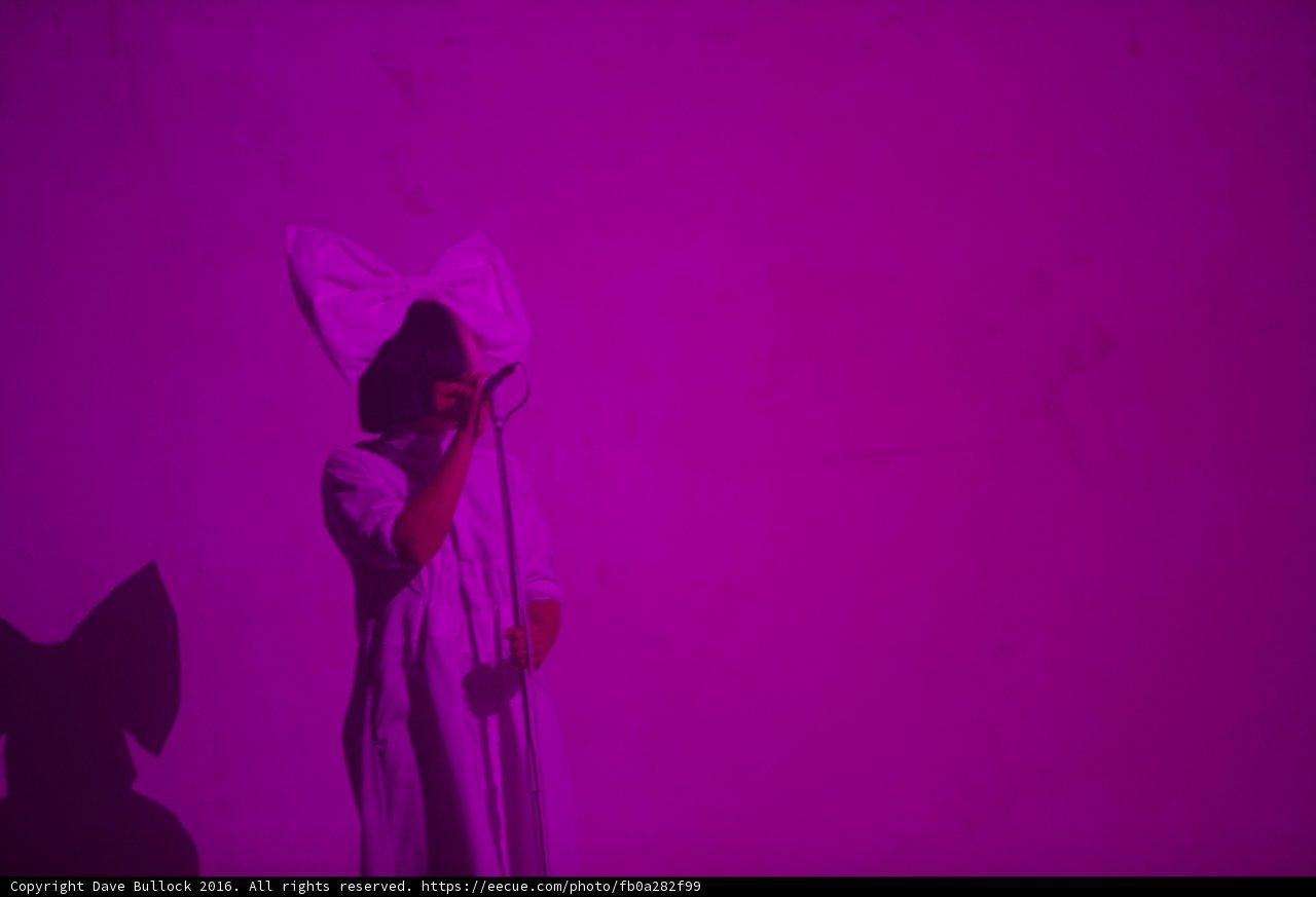 Purple Soloist