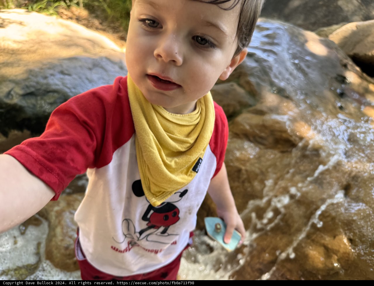 Wesley's Summer Adventure