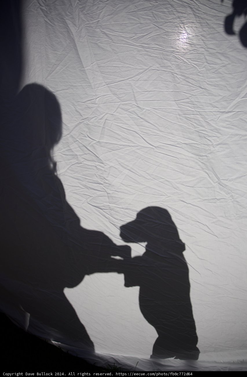 Embrace of Silhouettes