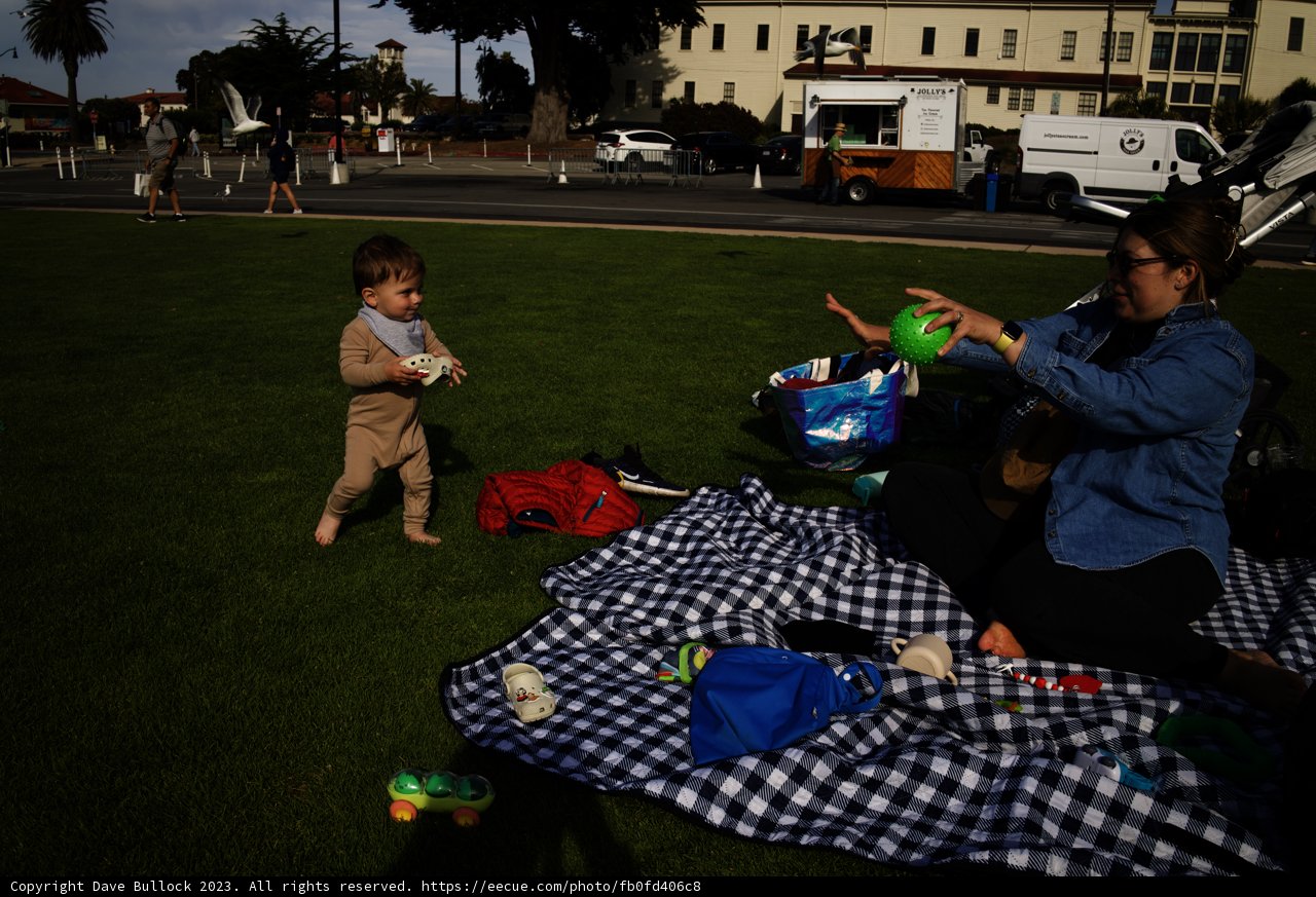Unforgettable Summer Moments in Presidio