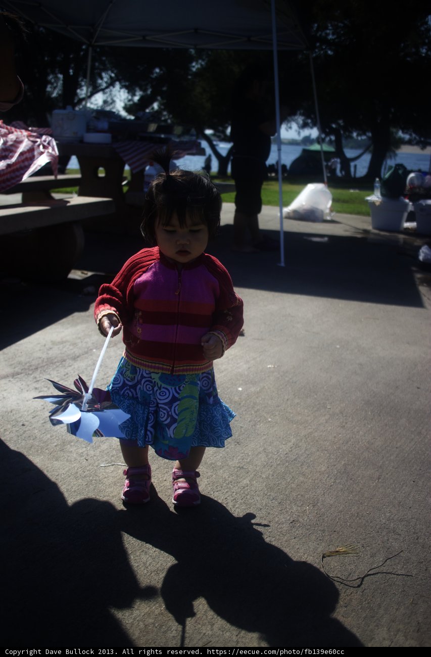 Kite Flying Fun on a Summer Day