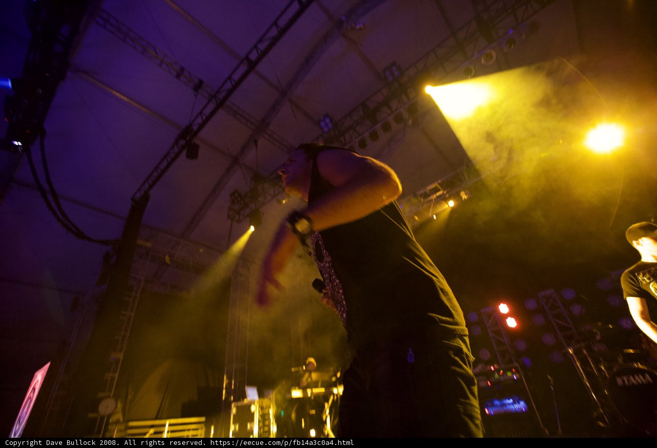 Rockin' the Crowd at Coachella