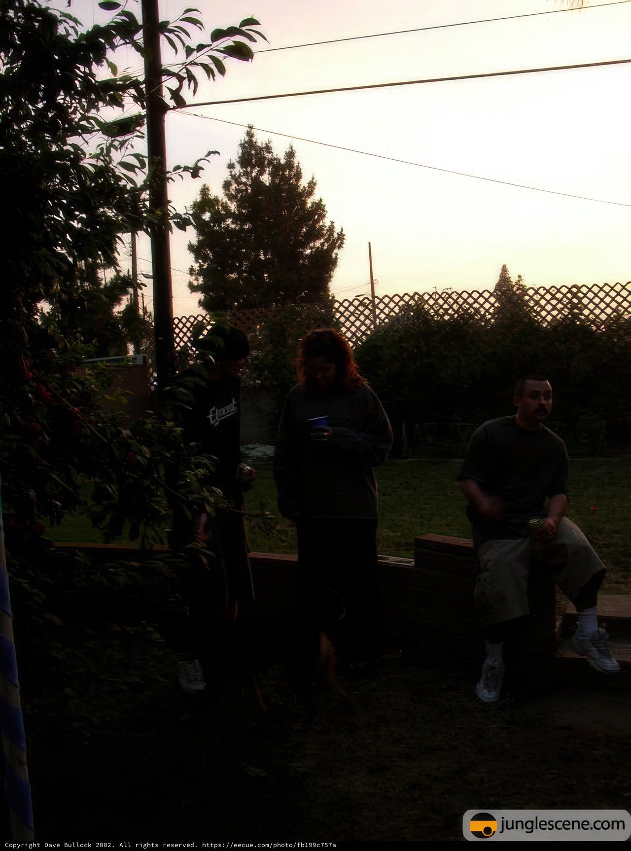 A Backyard Gathering at Dusk