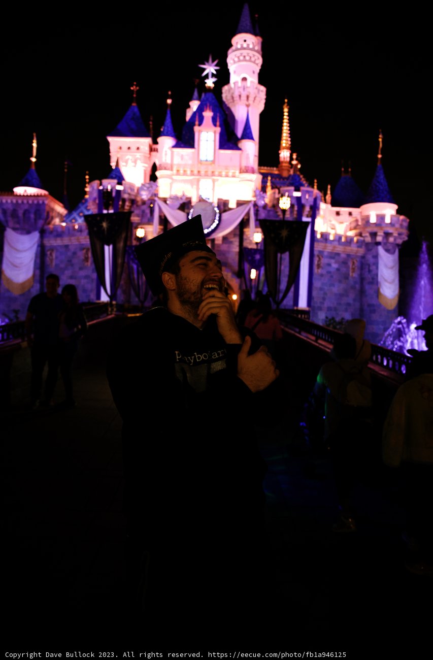 Enchanting Night at the Castle