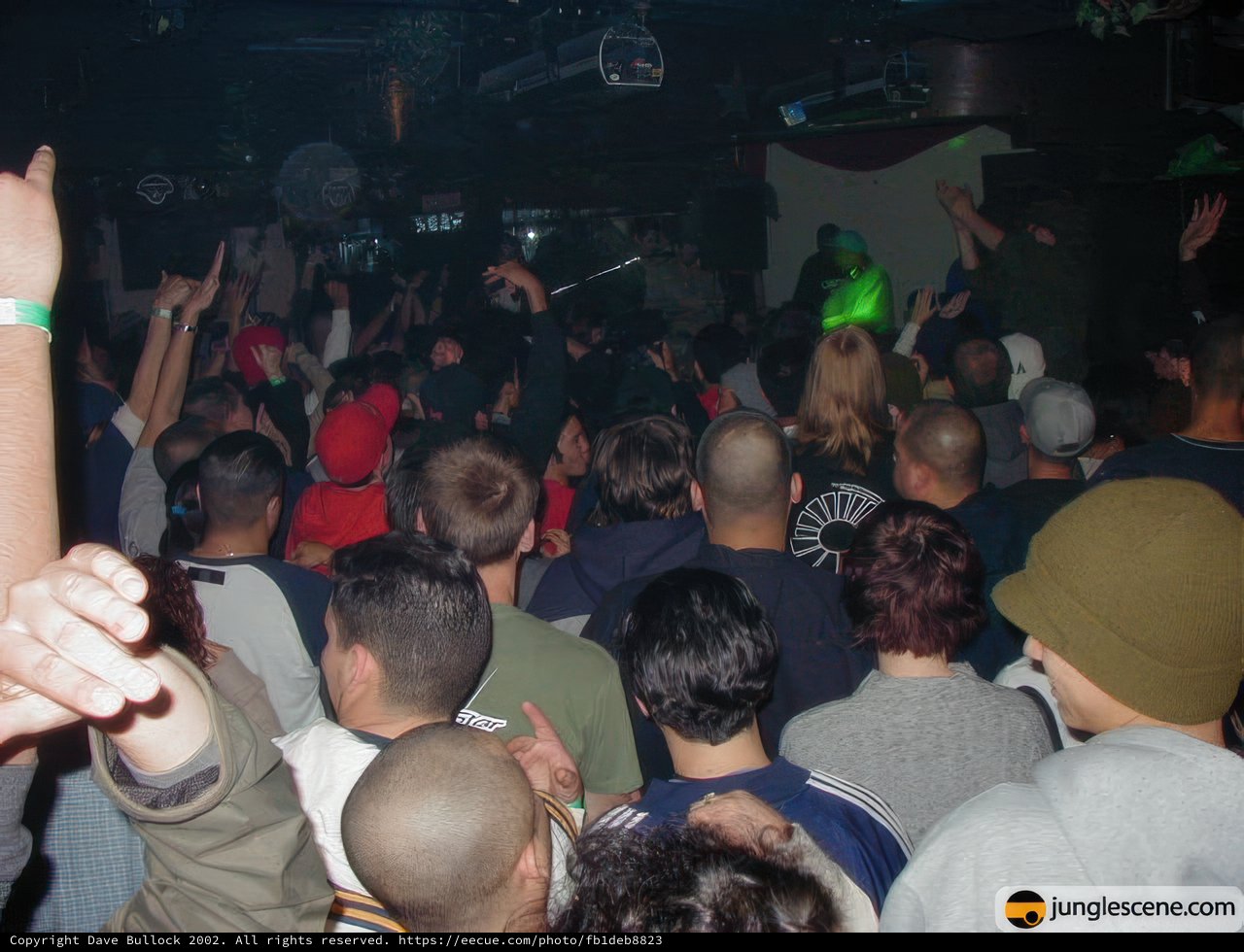 Nightclub Vibes