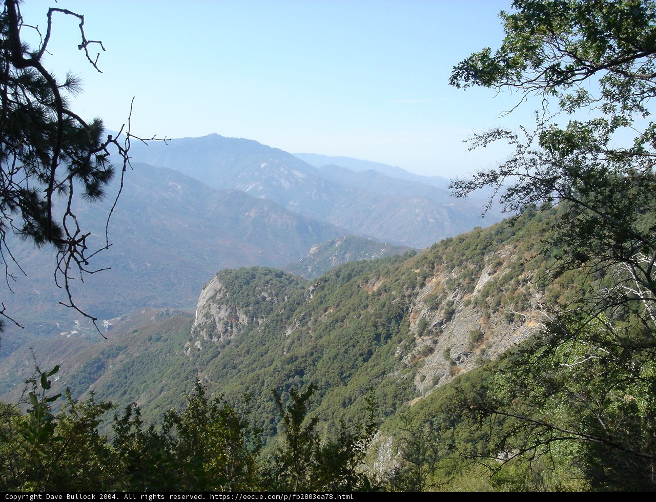Majestic View of the Wilderness