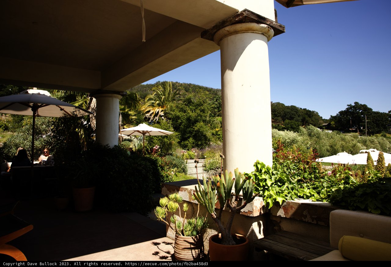 Serene Summer Patio Gathering