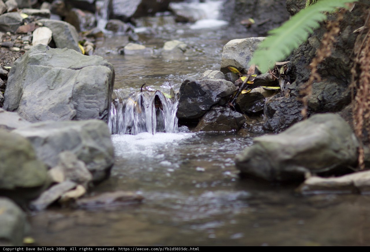 Serene Flow