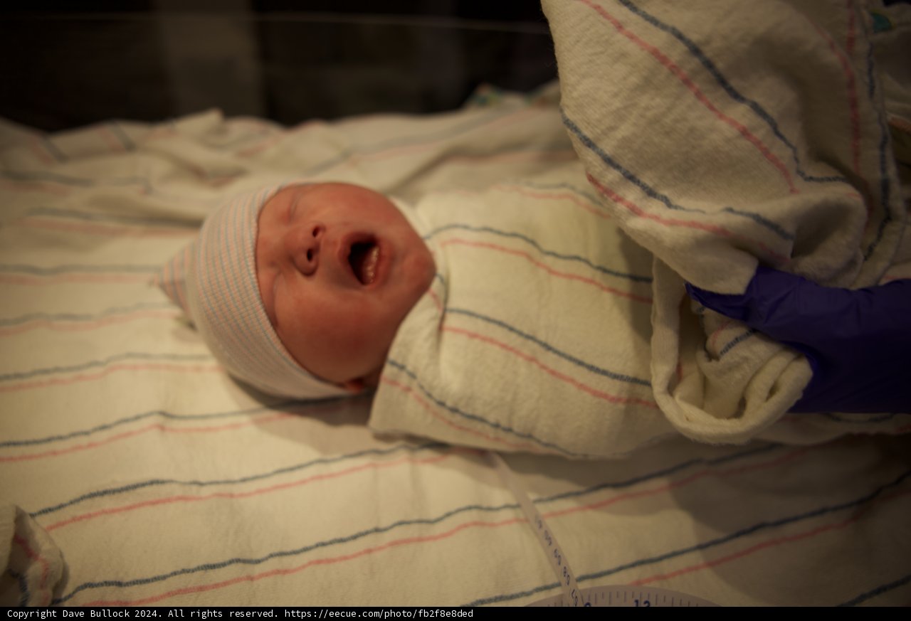 Welcome to the World, Leland!