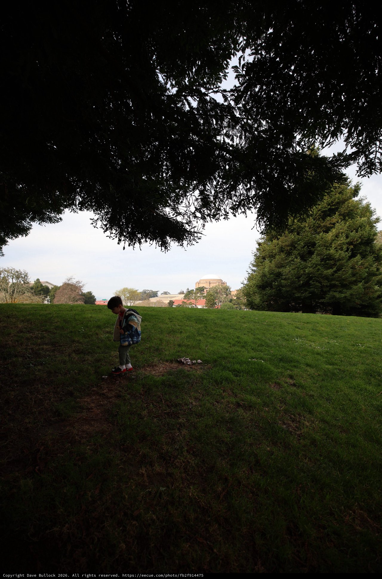 Child Exploring Park Under Overcast Sky