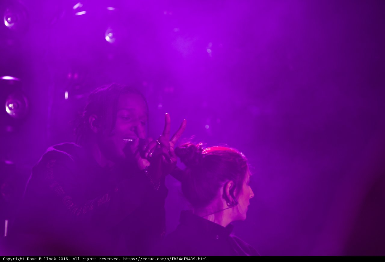 Purple Haze