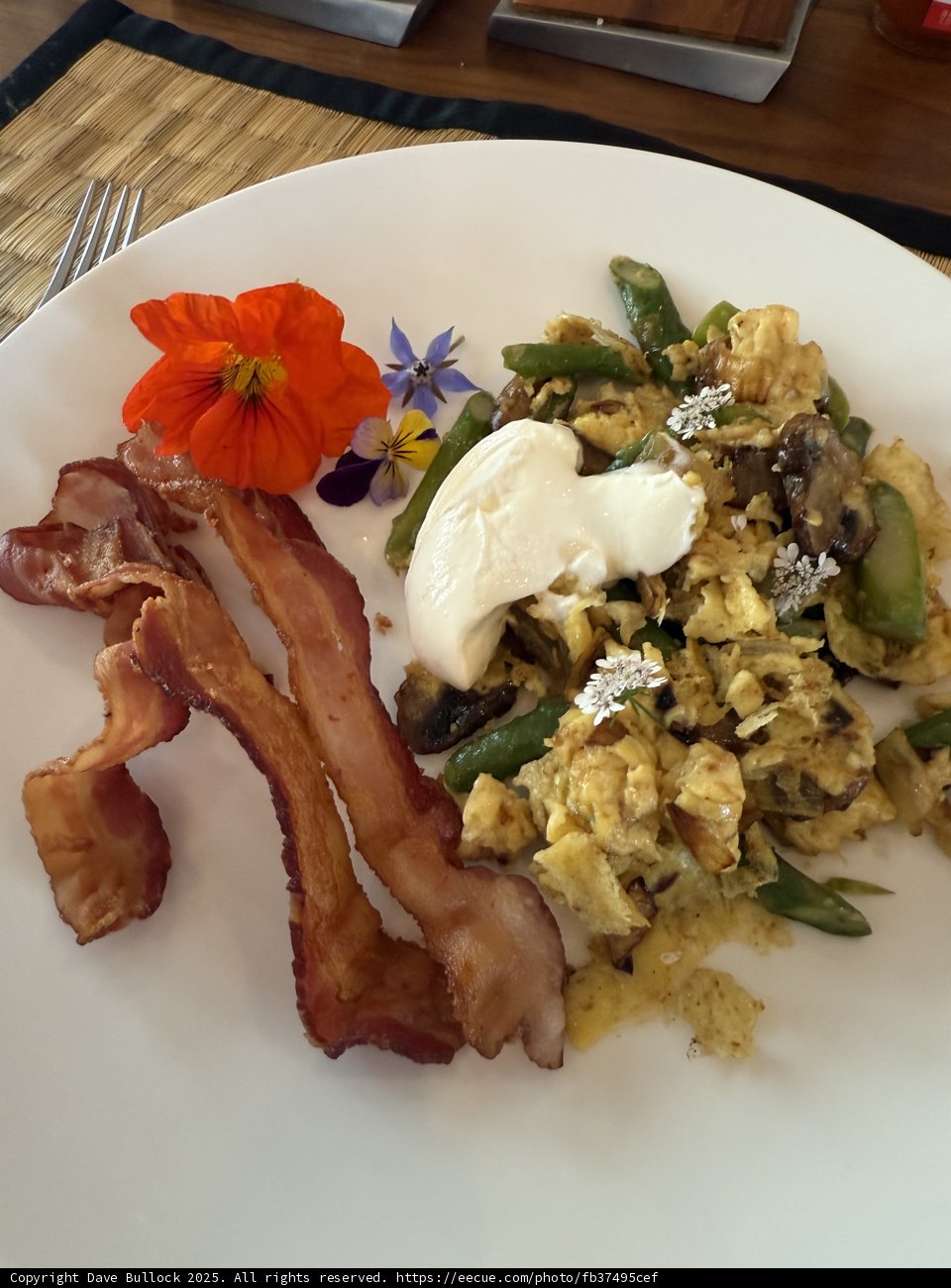 Brunch Bliss