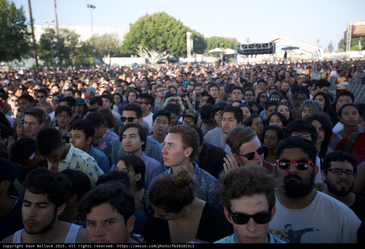 Festival Crowd Watching