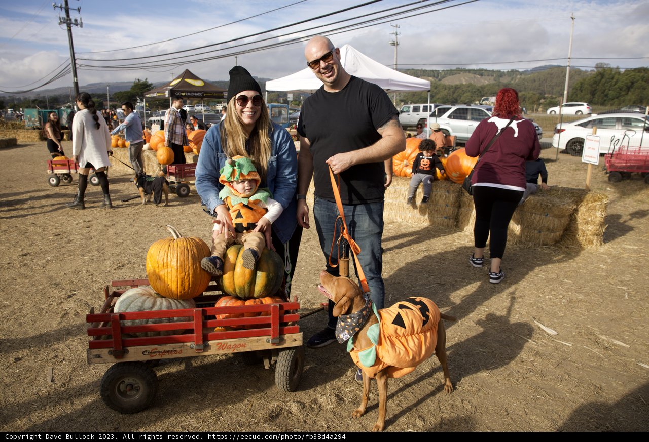 Autumn Delights at the Pumpkin Patch