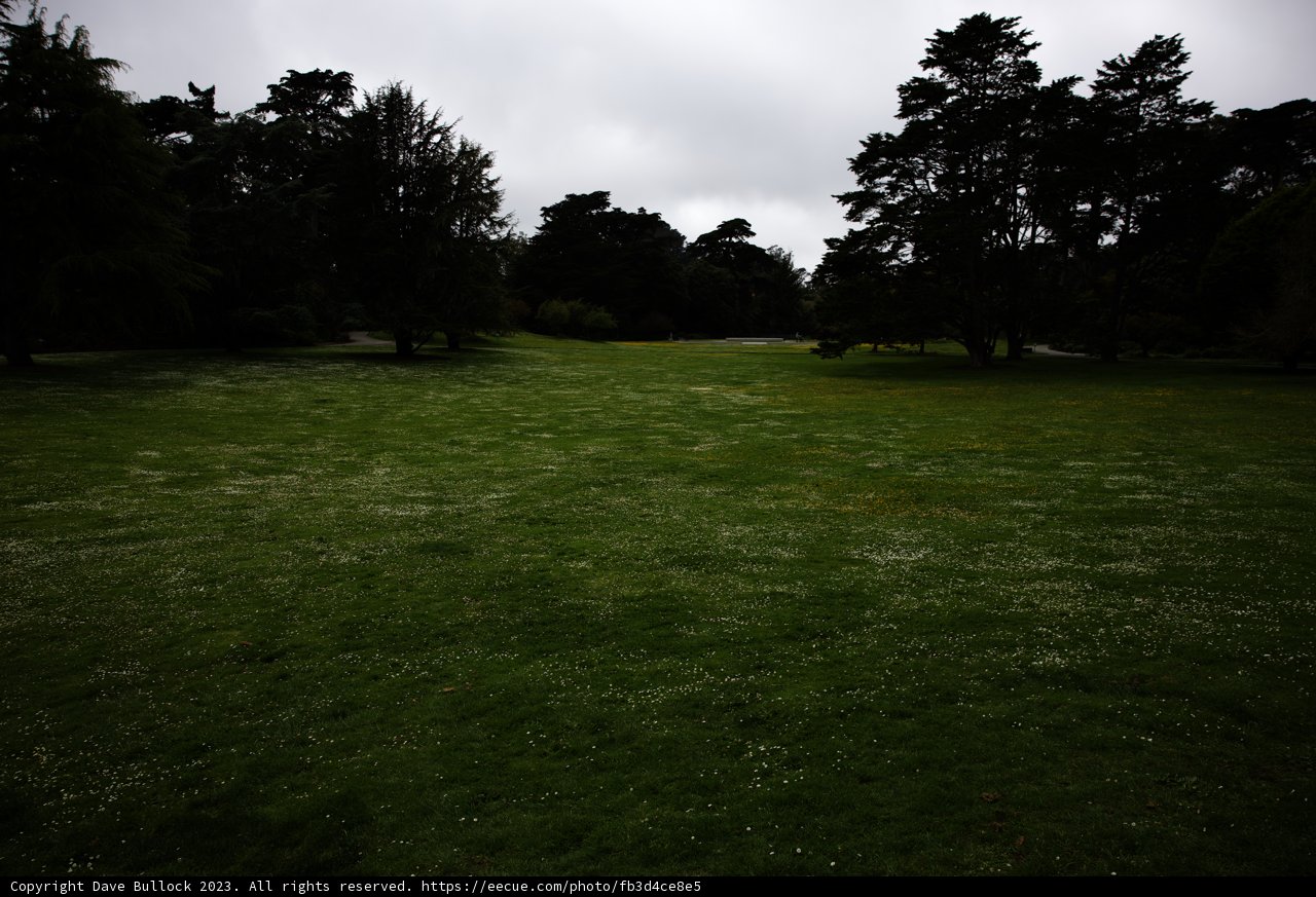 Serenity at San Francisco Botanical Garden