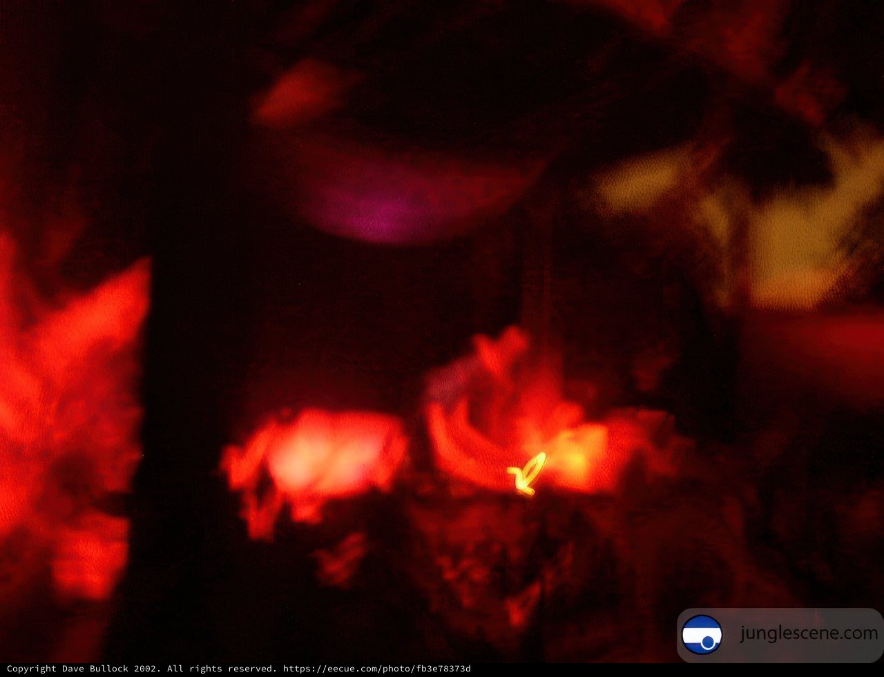 Blazing Night Club Atmosphere