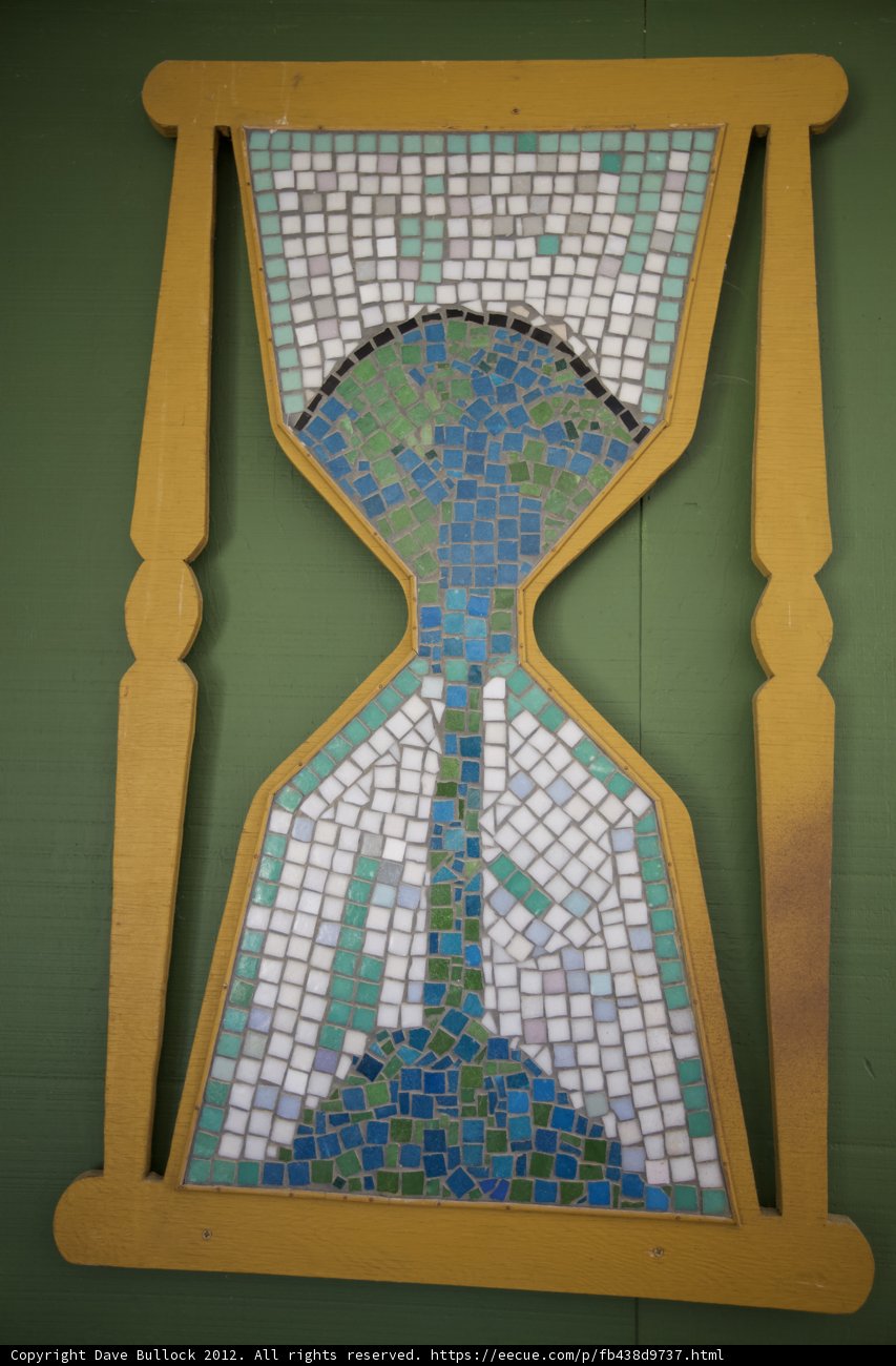 Tree of Time