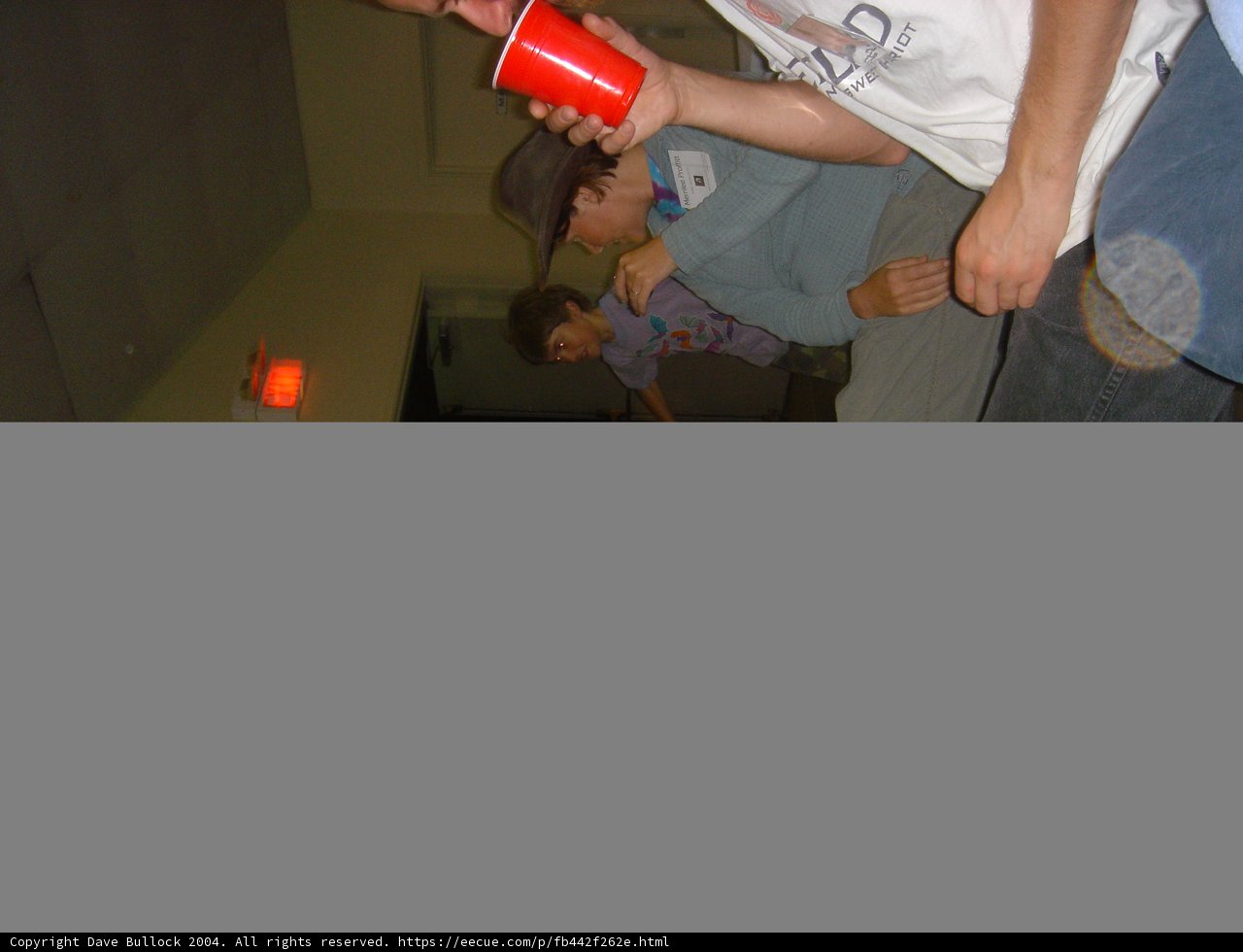 Red Cup in Hand