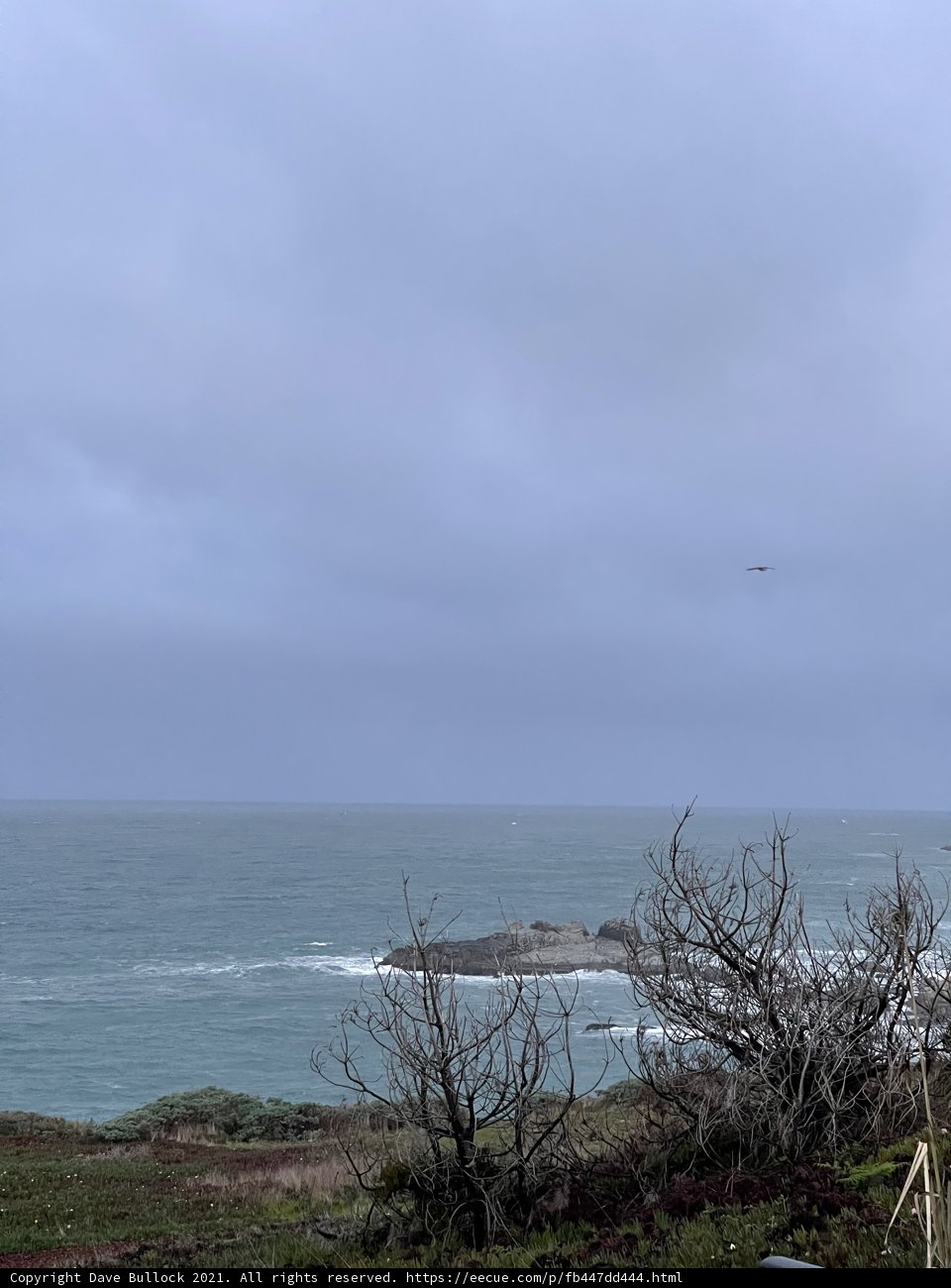 Overlooking the Majestic Ocean
