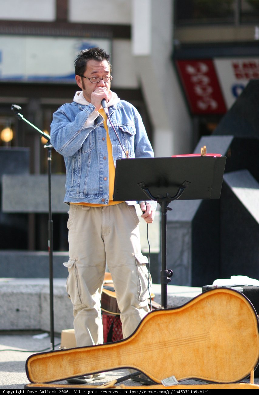 The Entertainer in Blue