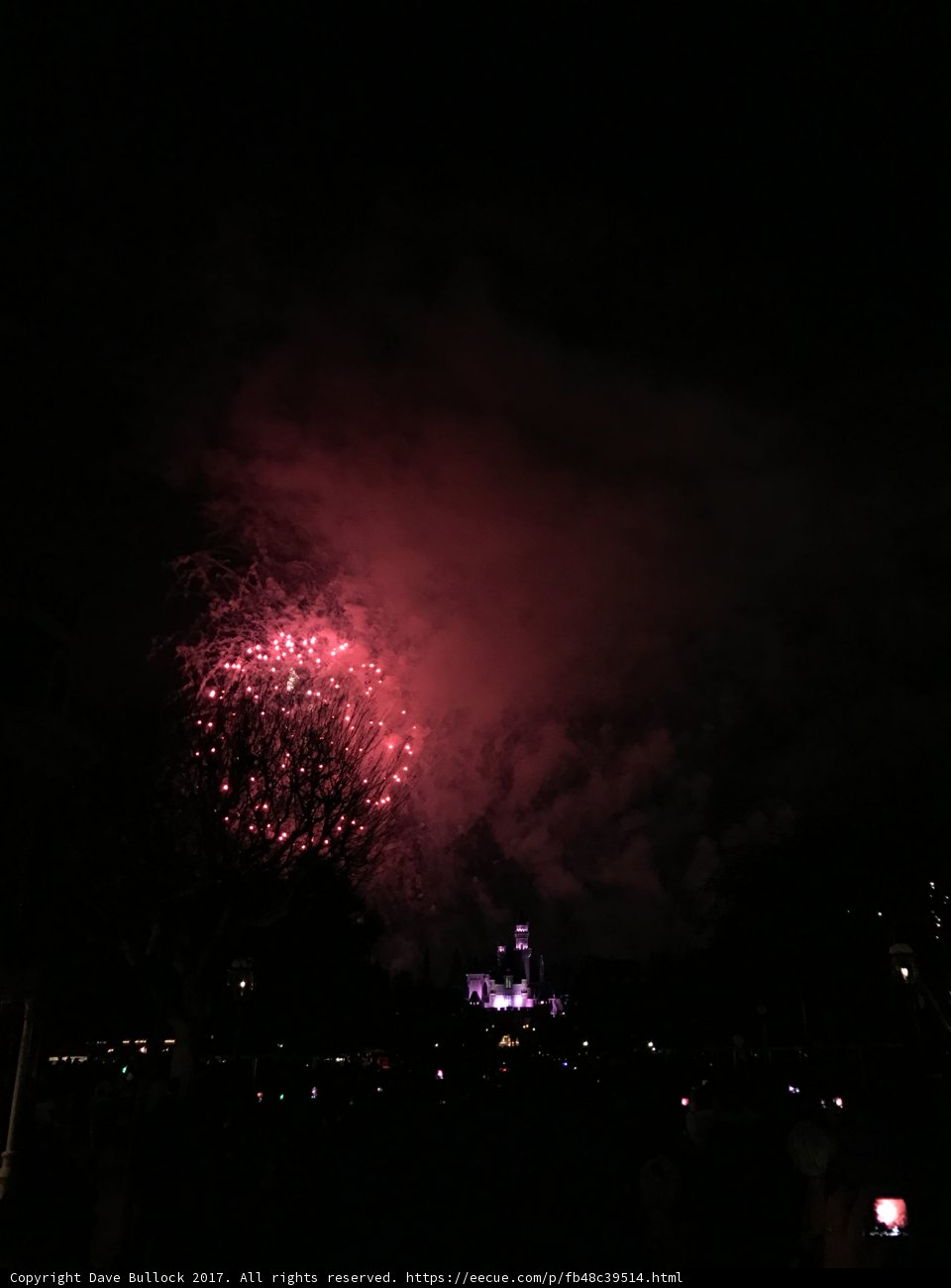 Spectacular Fireworks Show at Disneyland Park