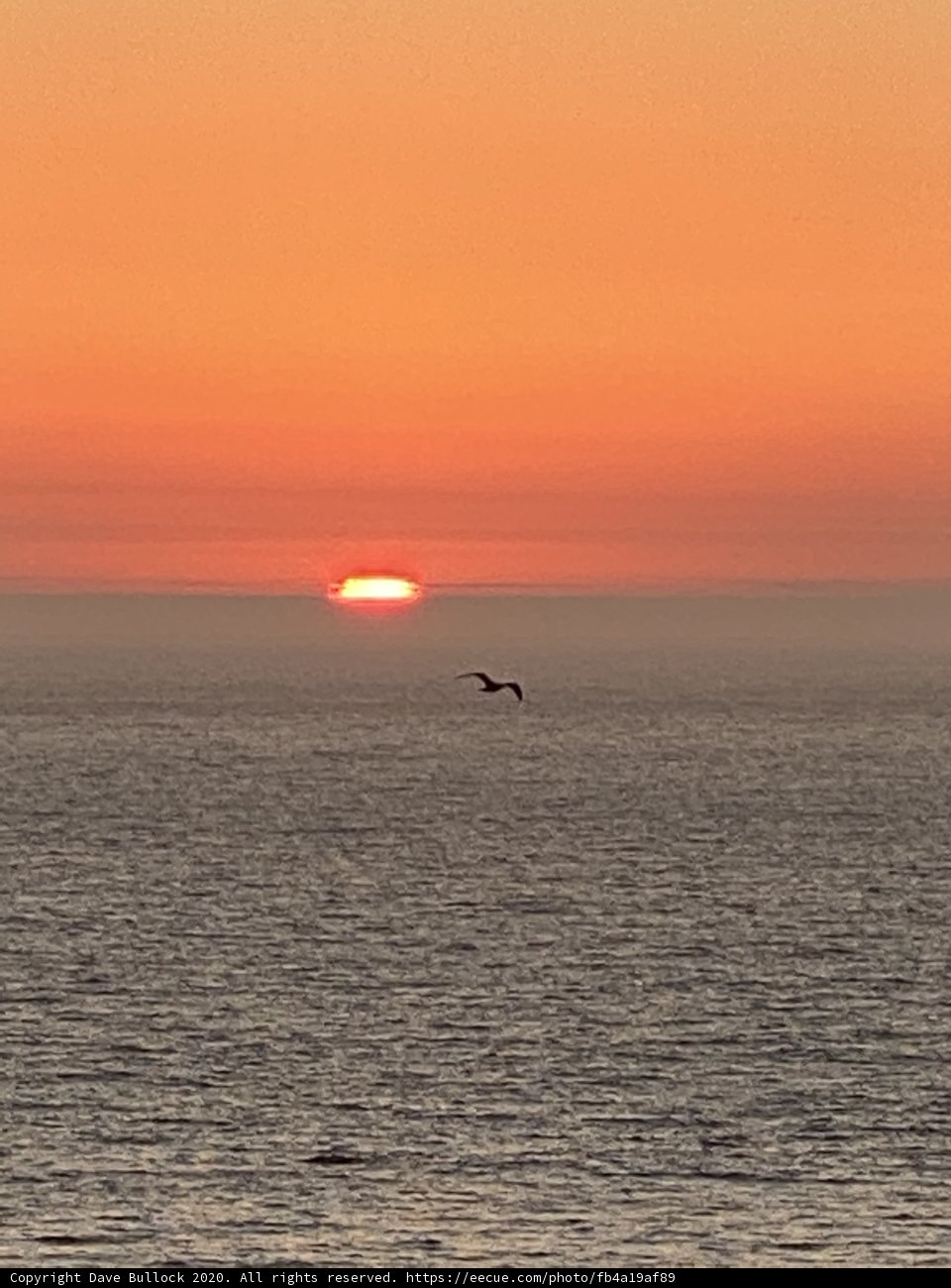 Serenity at Sunset