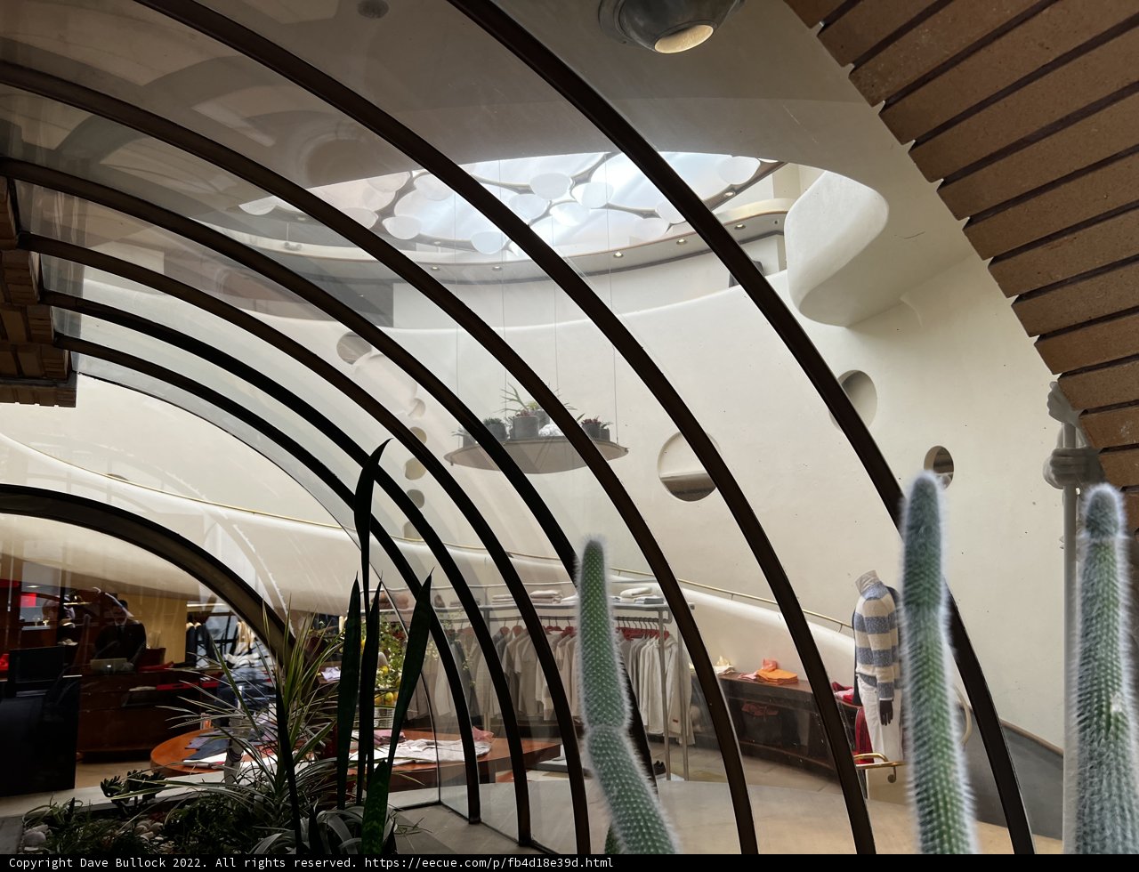 A Cactus Oasis in a Curved Ceiling Room