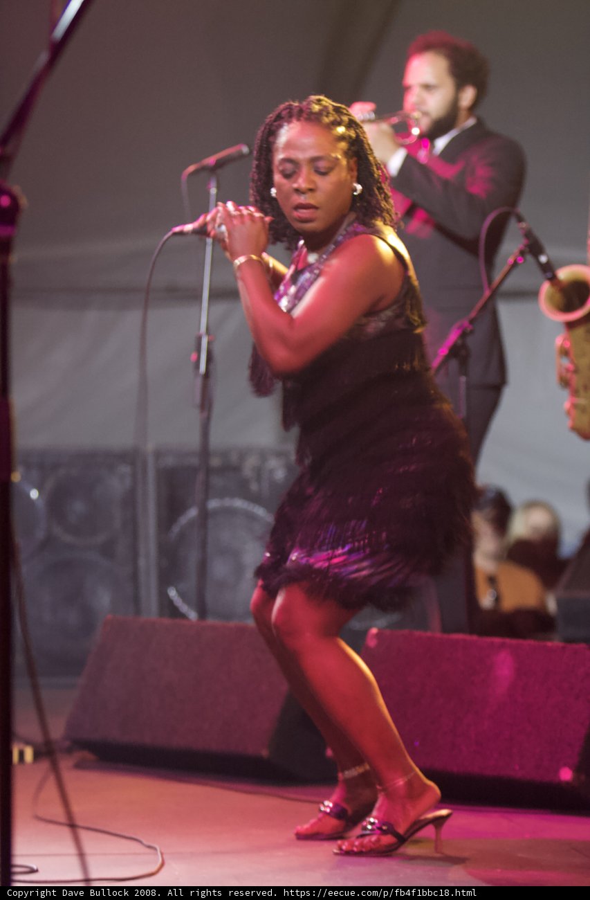 The Alluring Songstress