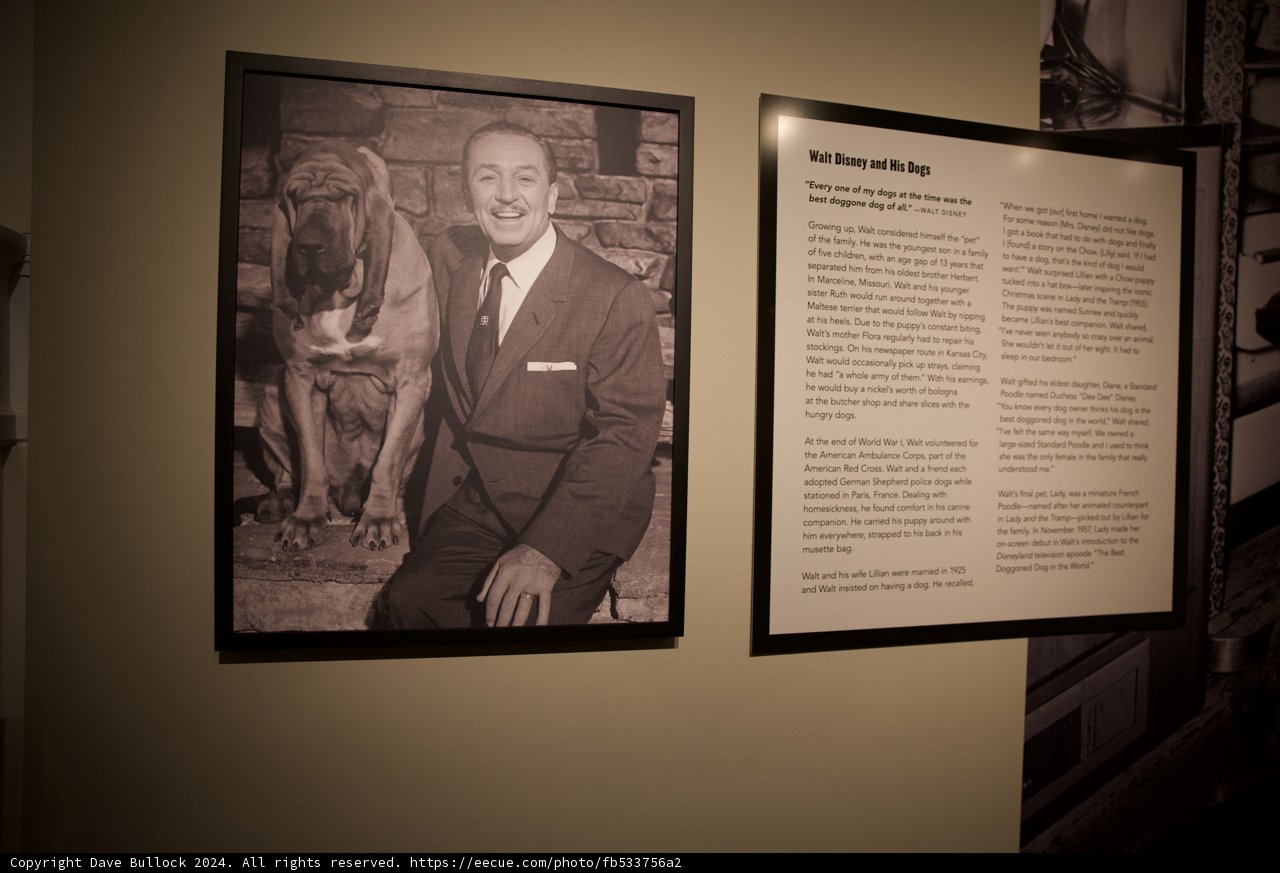 Homage to Walt Disney: A Portrait in Formal Attire
