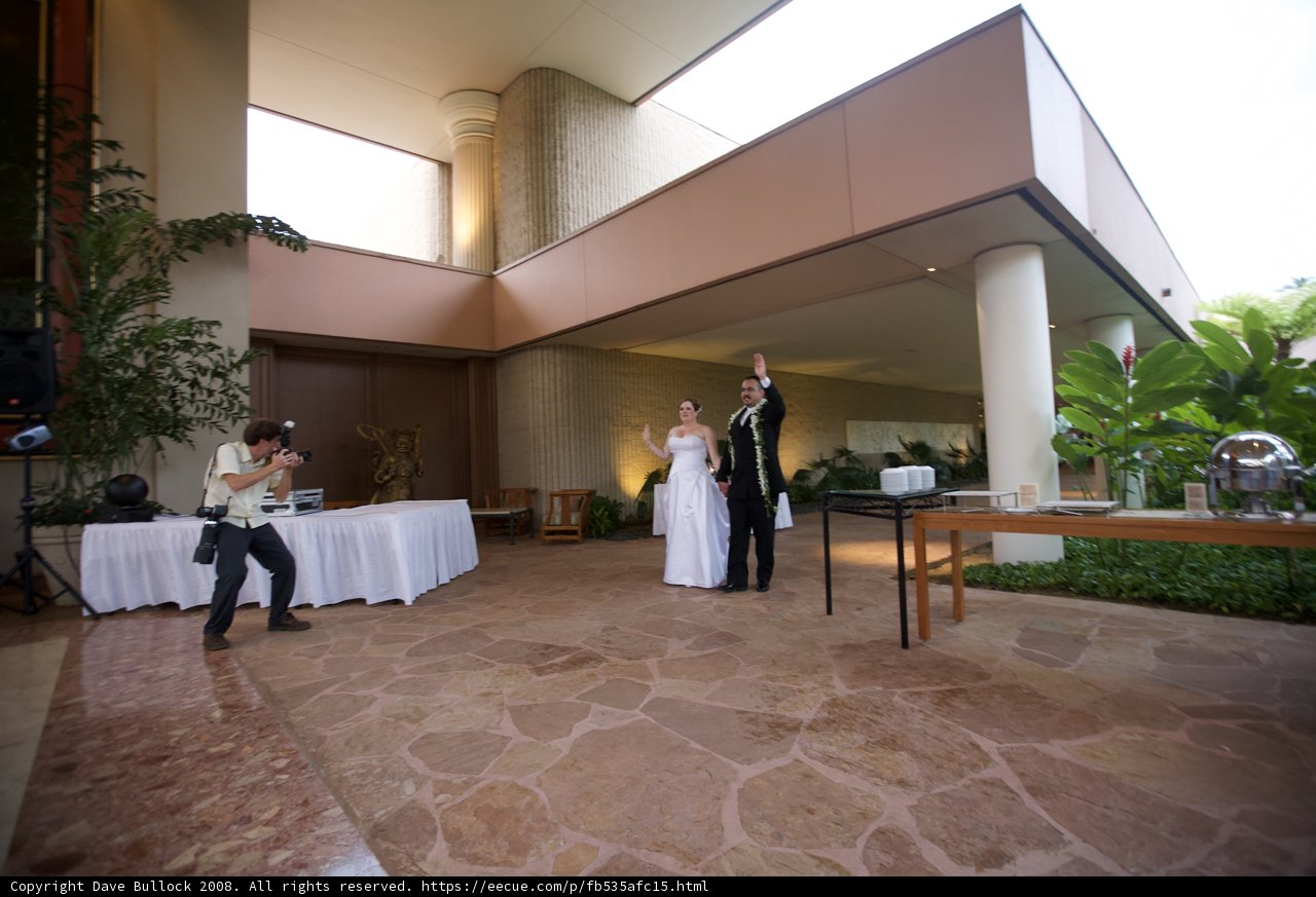 A Wedding Reception to Remember