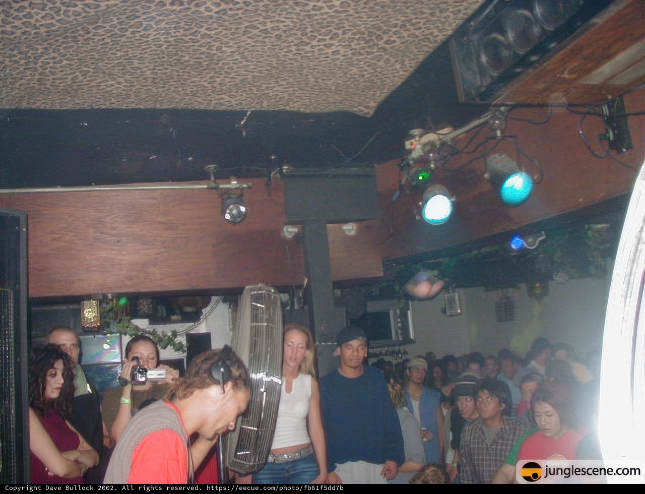 Nightclub Stage Performance