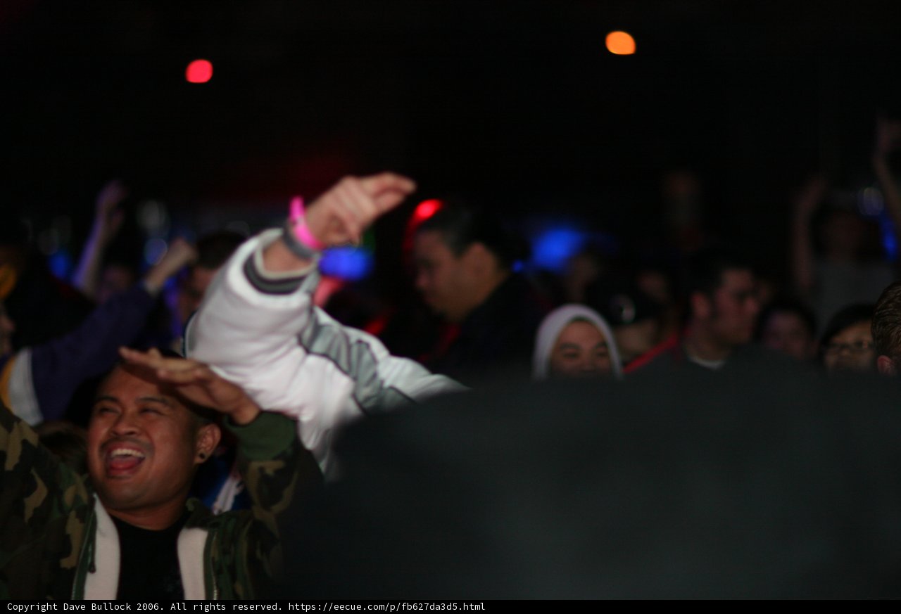 Hands Up in the Crowd