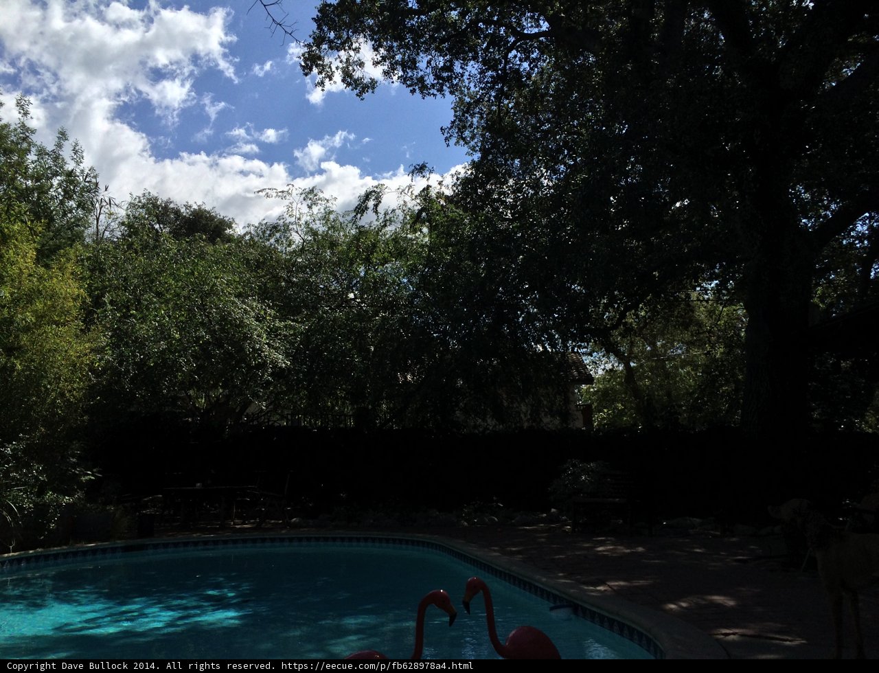 Summer Fun at the Altadena Resort