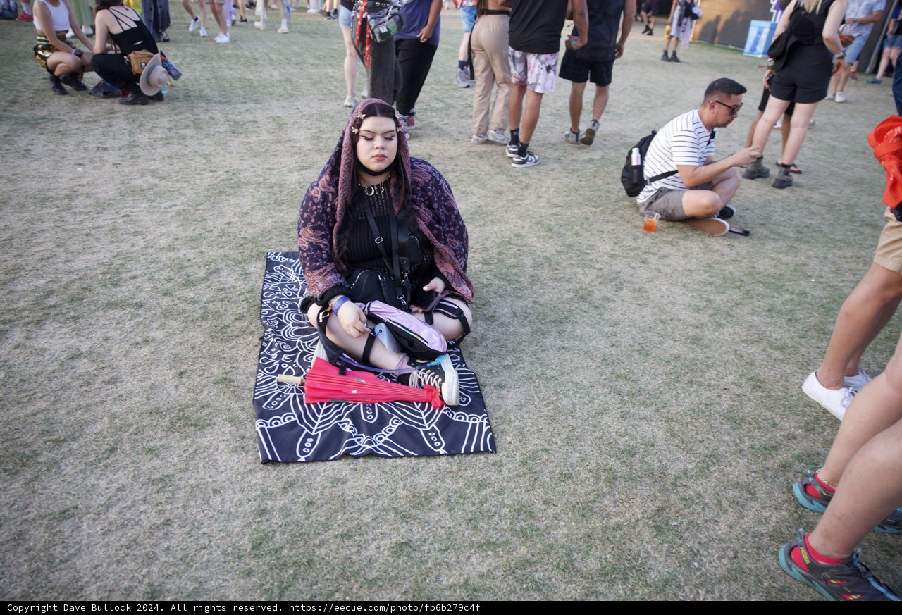 Contemplation in the Crowd: Coachella 2024