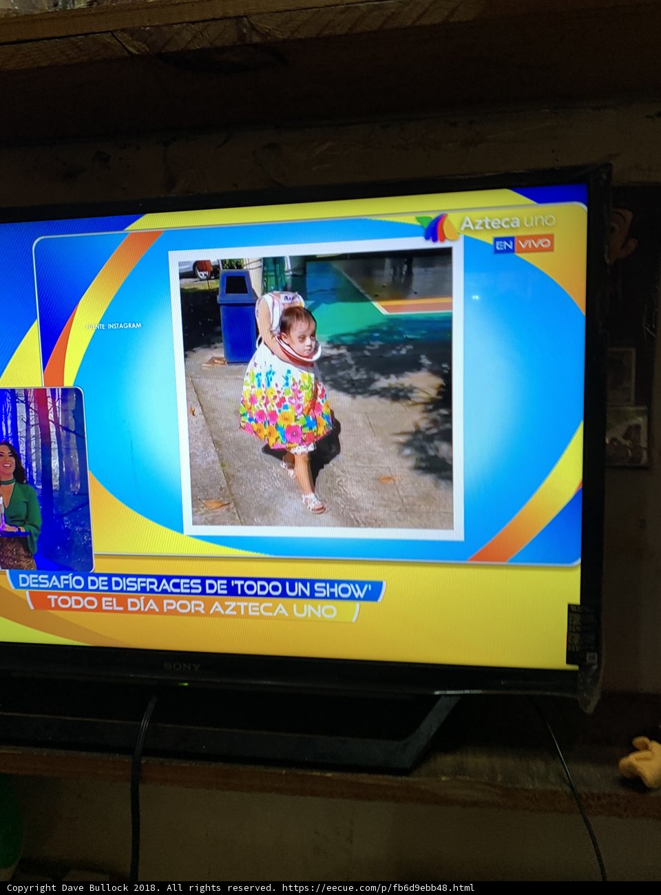 The Young and the Screen