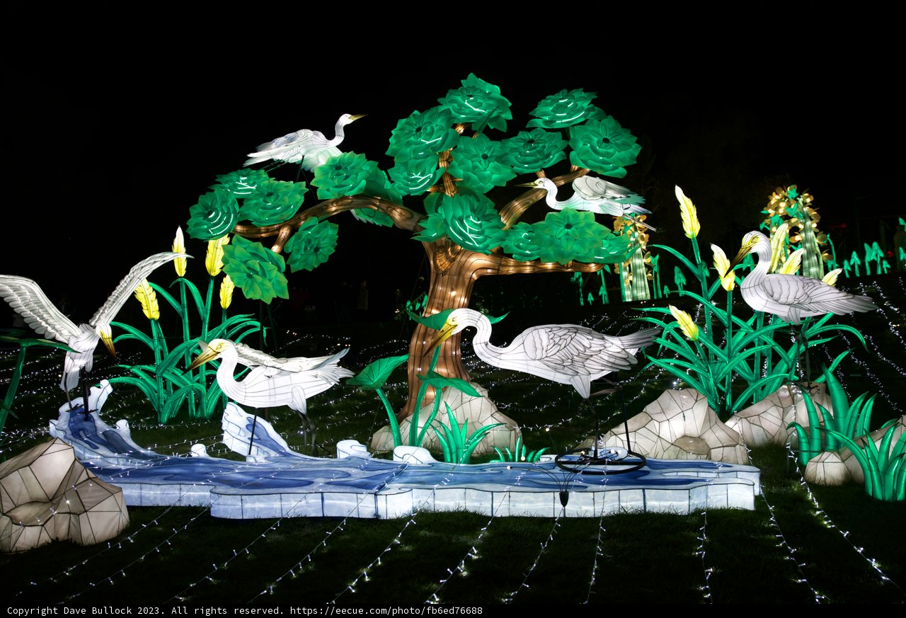 Illuminated Wilderness - An Artistic Night at the Zoo