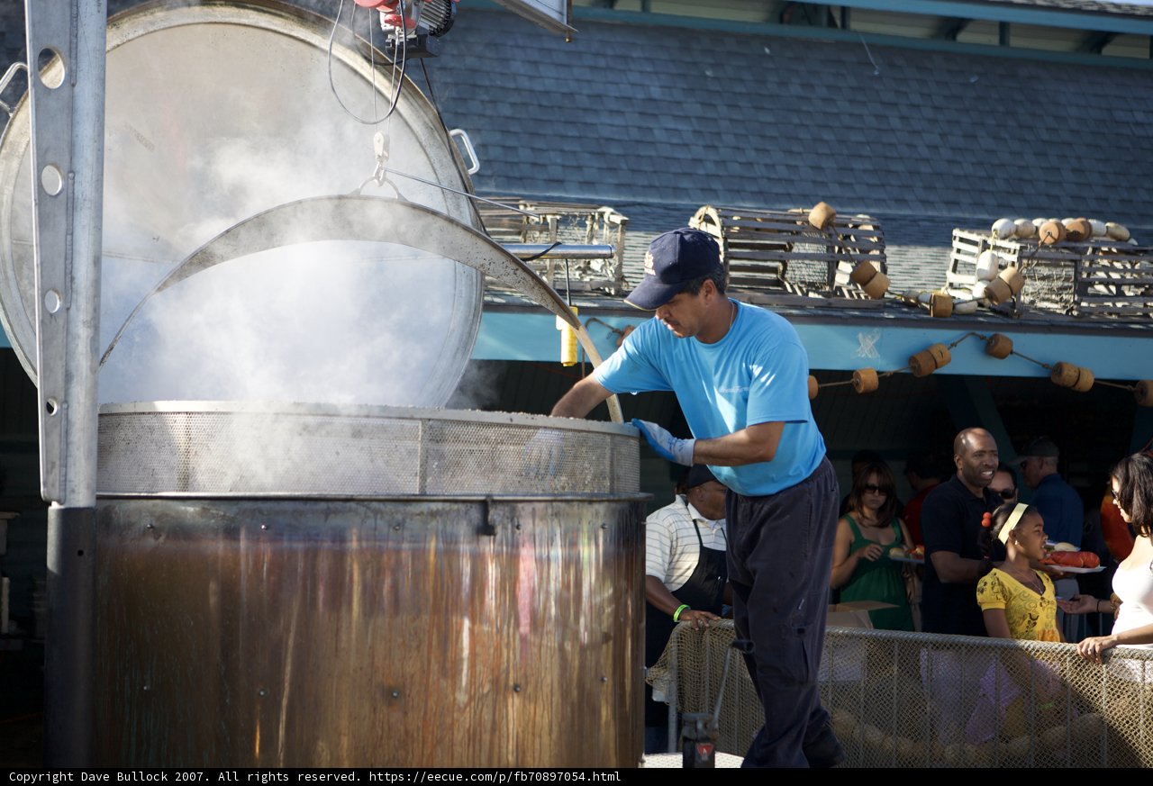 Cooking Up a Storm at the Lobster Festival