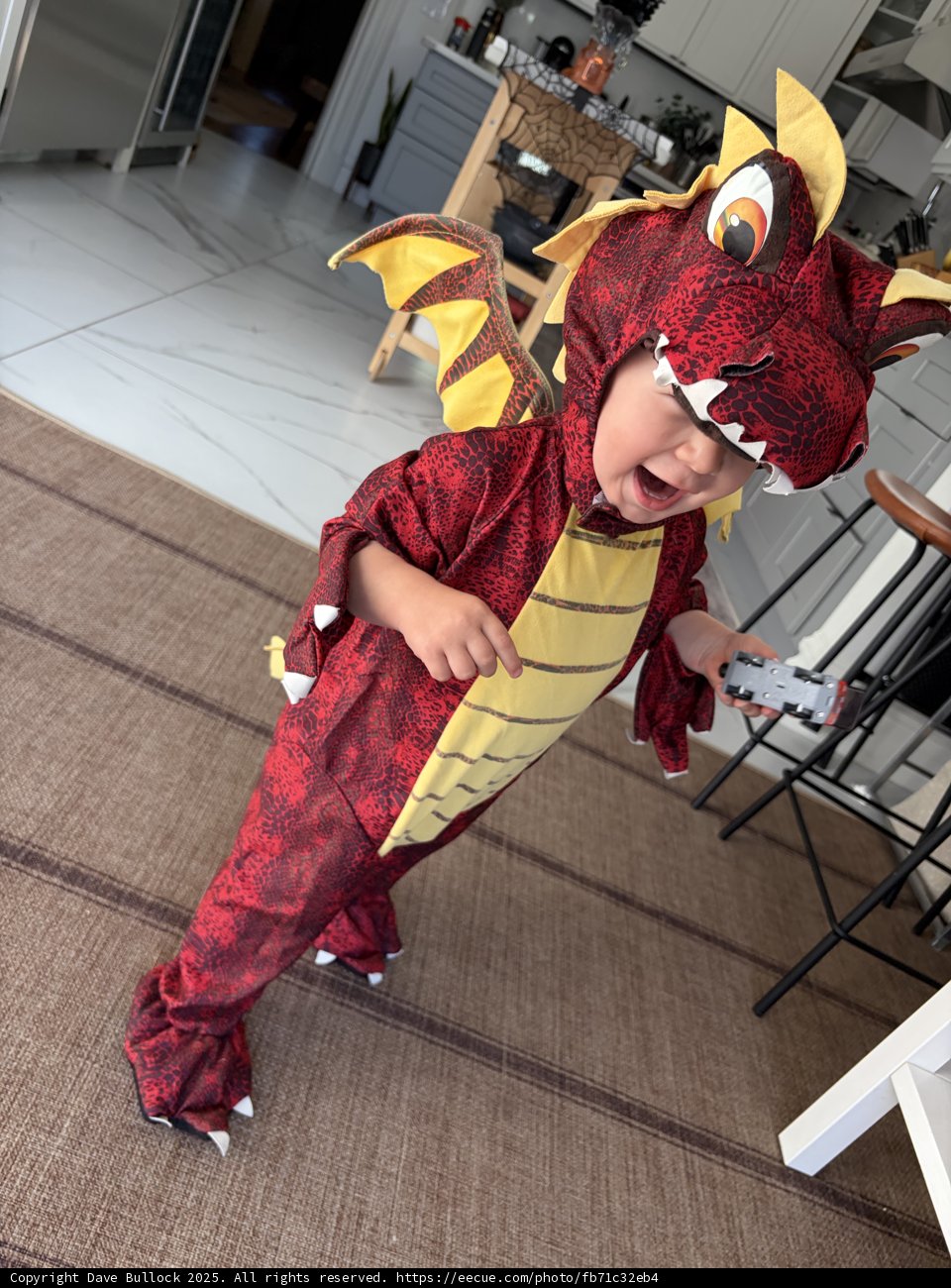 Little Dragon Takes Flight