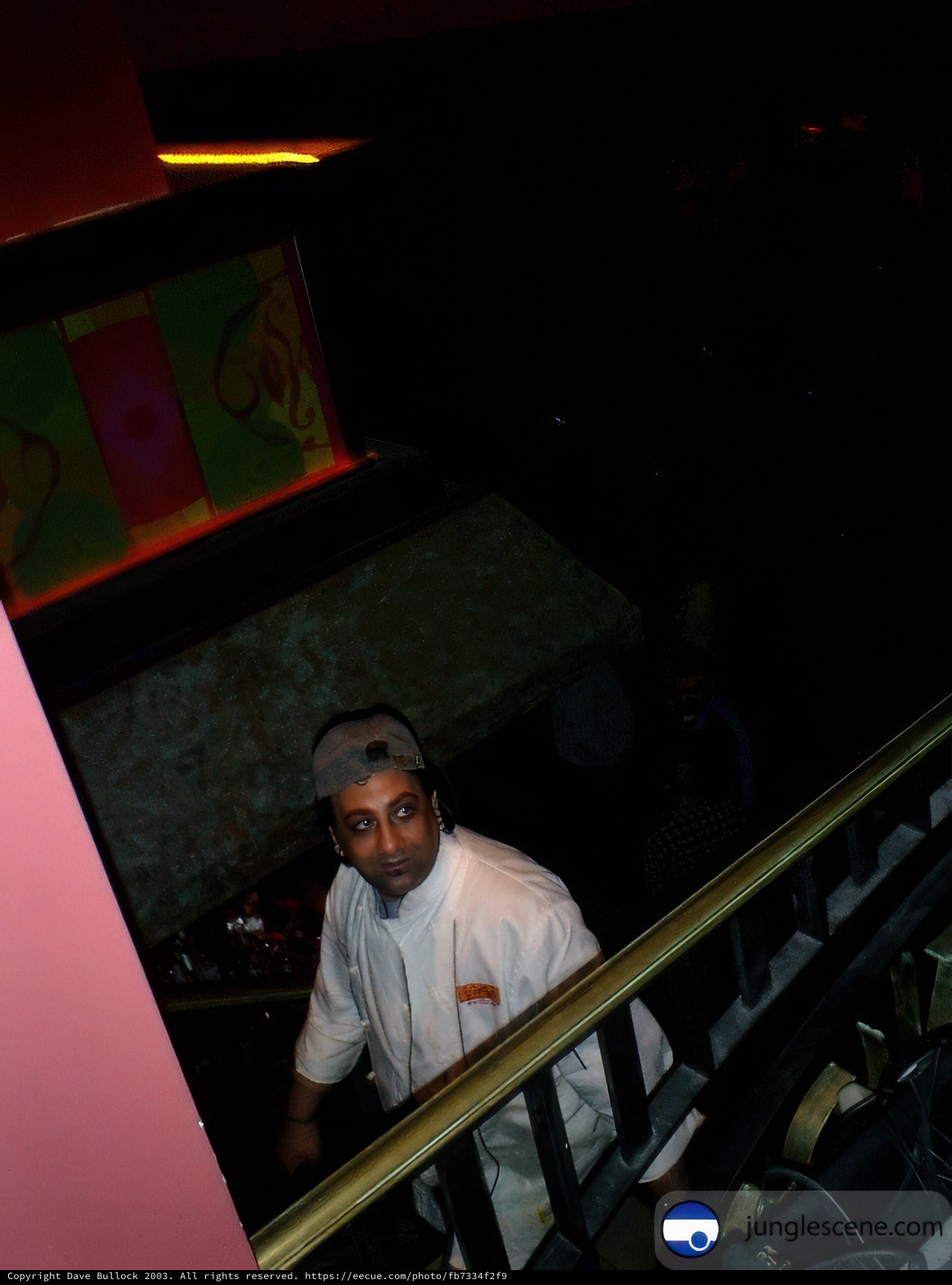 The Artistic Man on the Stairway