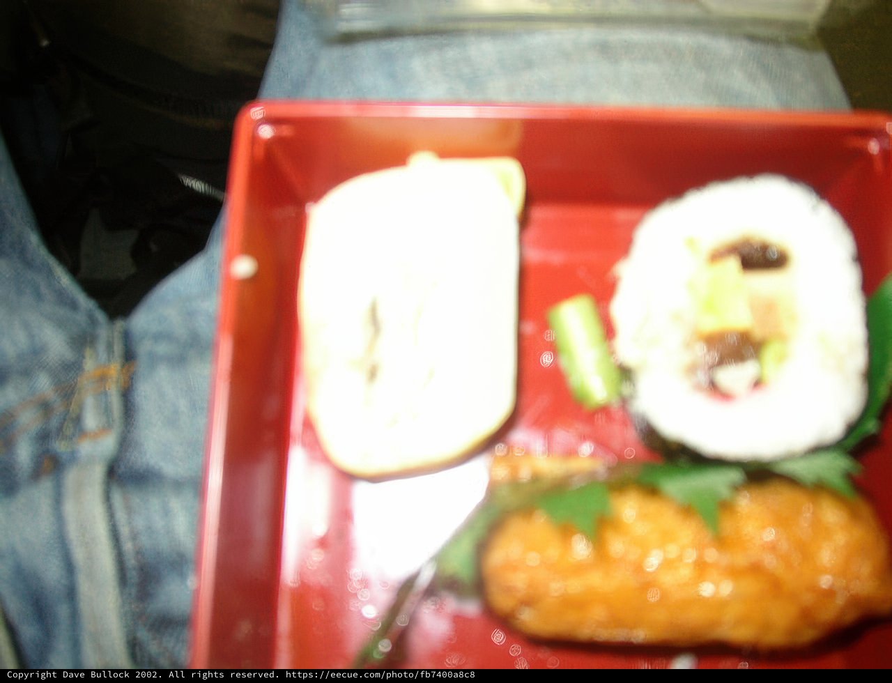 A Scrumptious Japanese Lunch