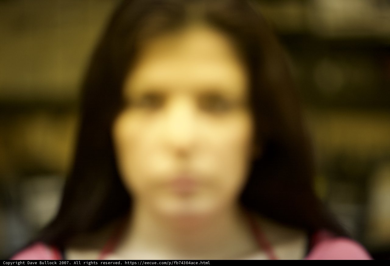 Blurry Portrait of a Young Girl with Long Hair