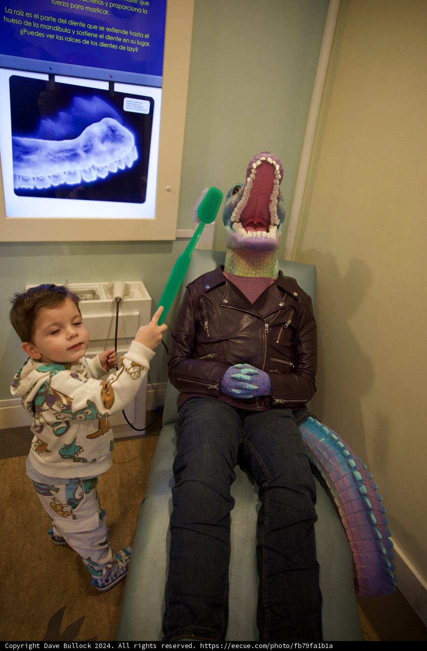 Dino Dentist in Training