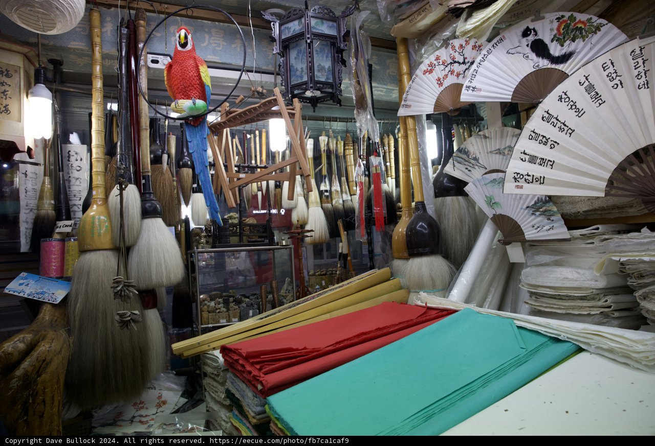 Eclectic Abundance: An Extensive Fan Collection in Korea, 2024
