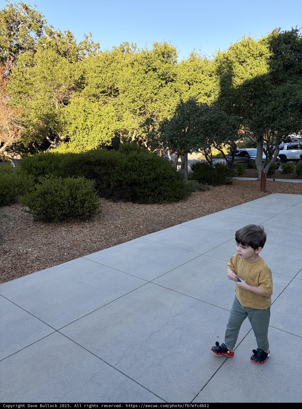 Stroll Through Carmel's Serenity