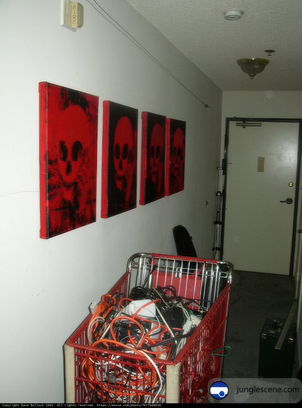 Skulls in the Cart