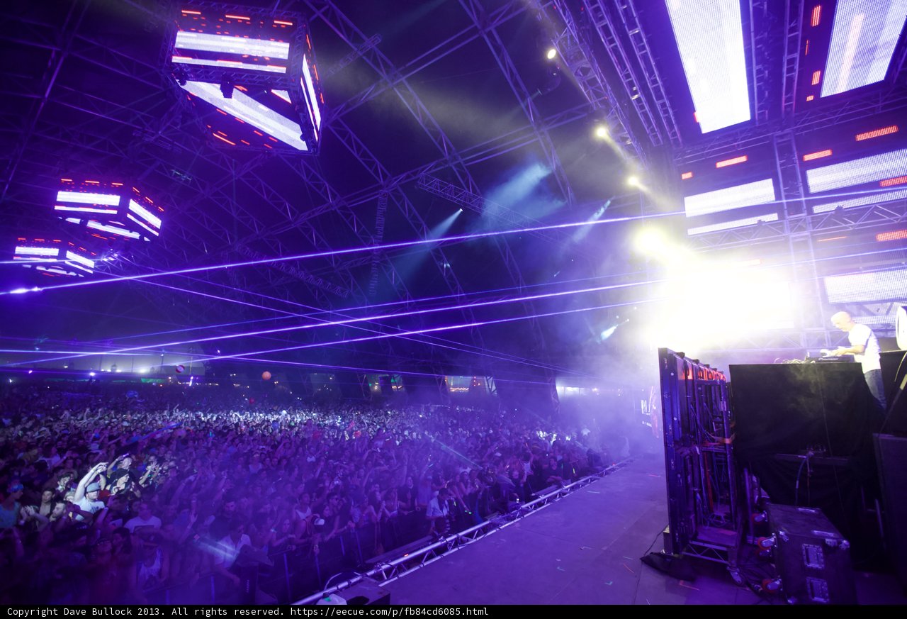 Purple Haze at Coachella