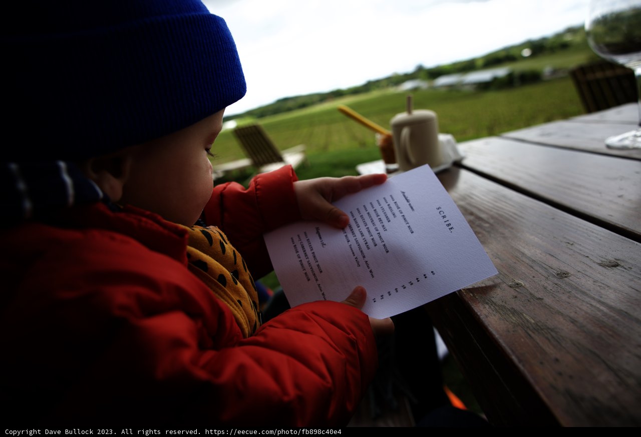 Little Artist in Nature