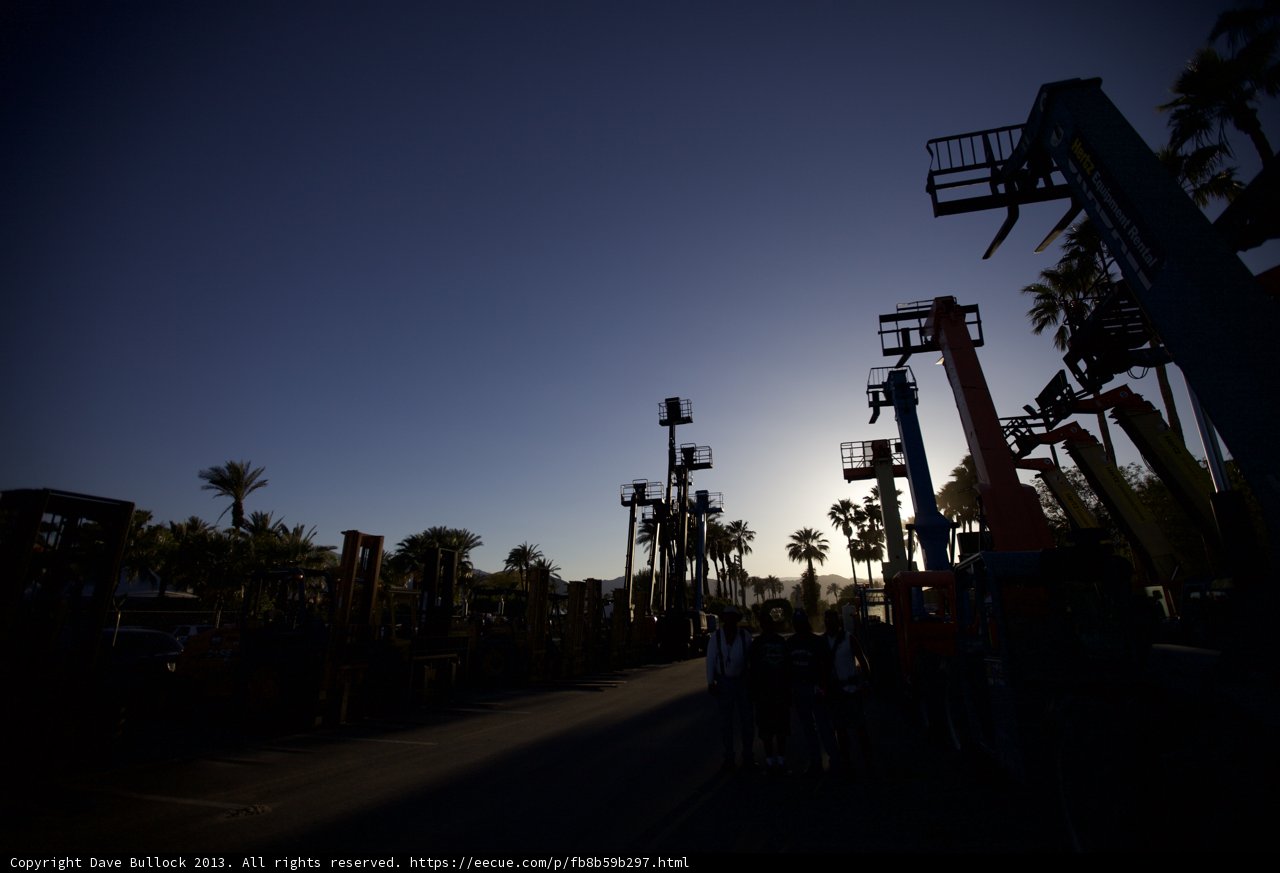 Group Silhouette Against Palm Trees and Blue Sky