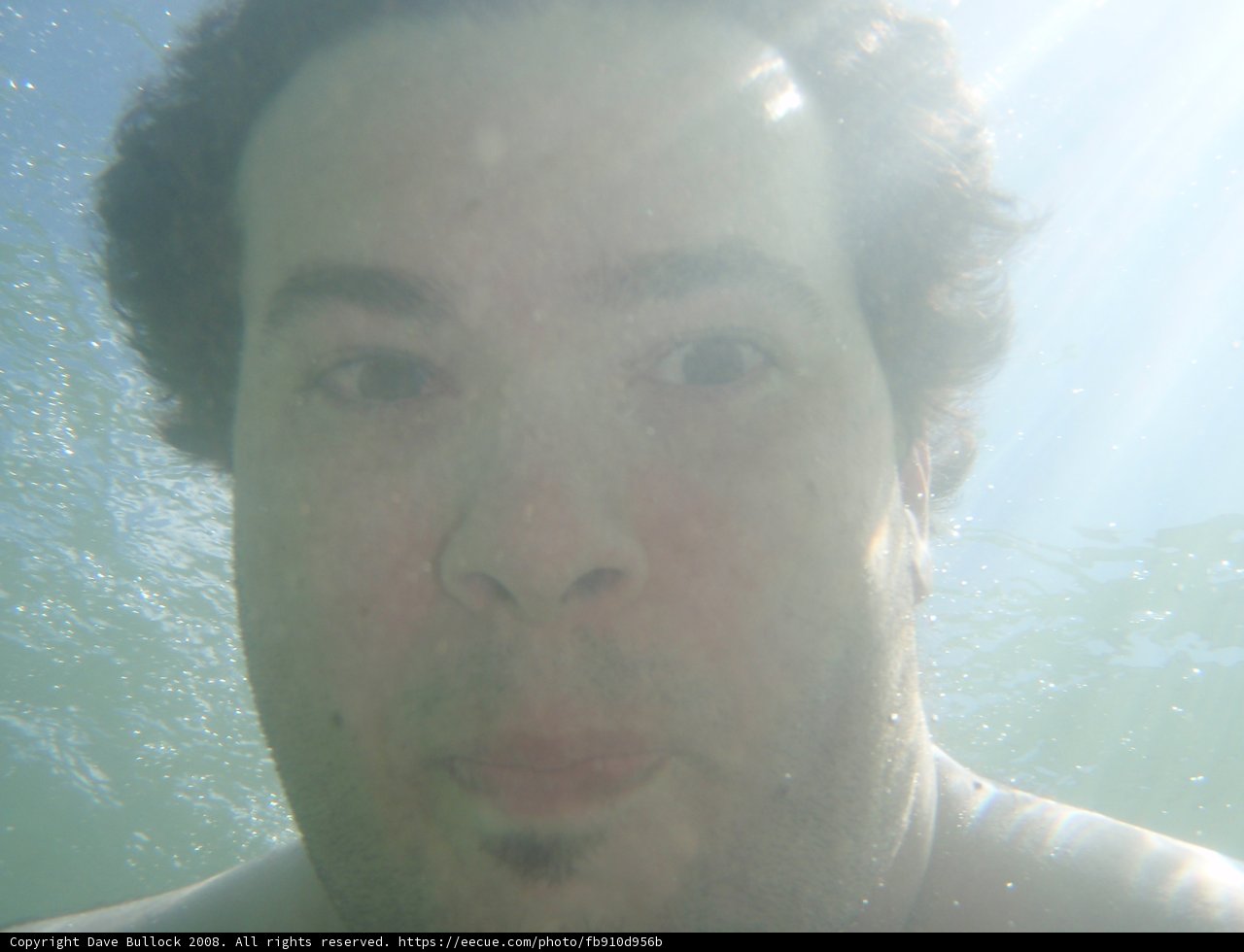 Man Dives into the Deep Blue